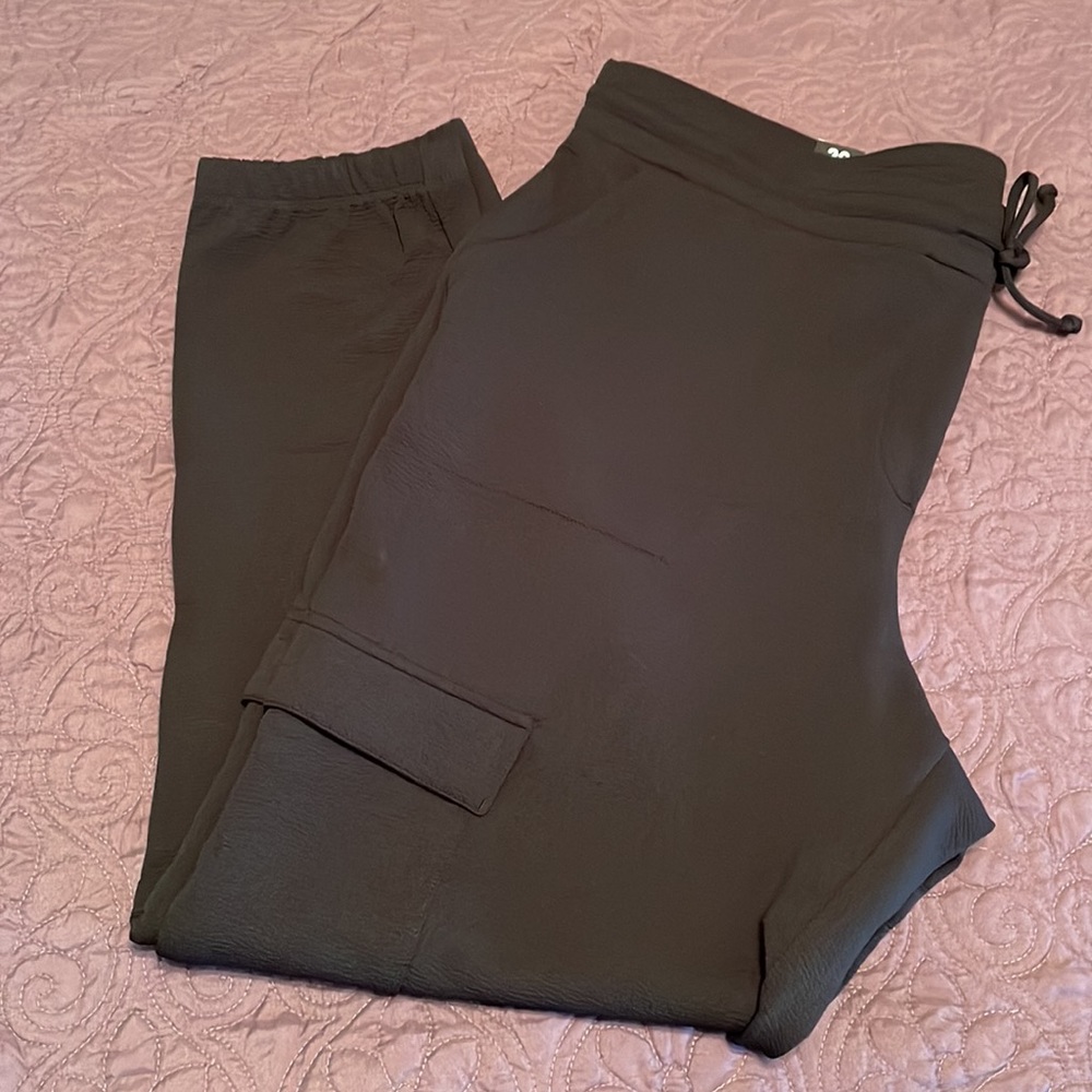 Reitmans pants size 20 NWT